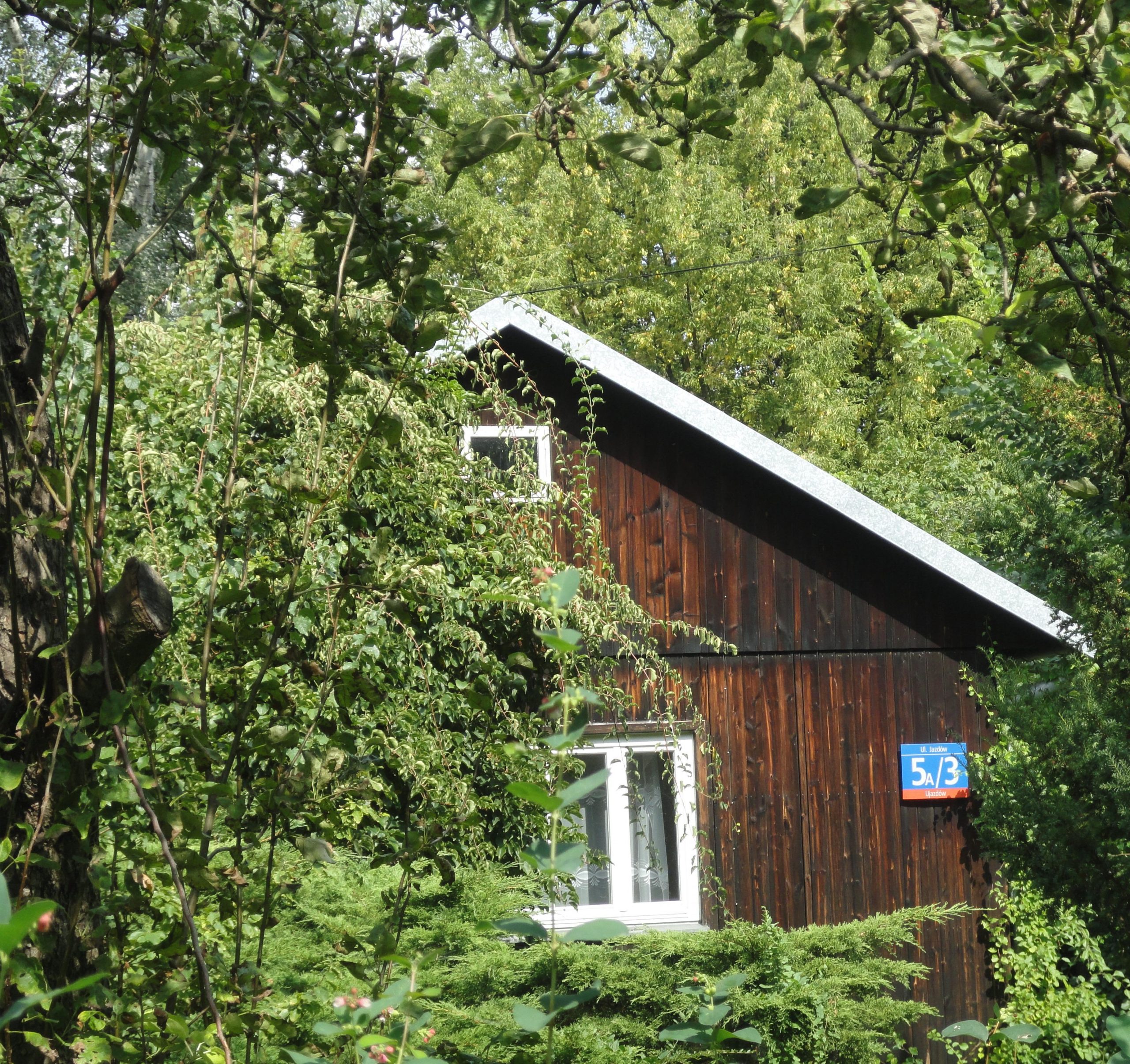 Holzhaus im Dickicht