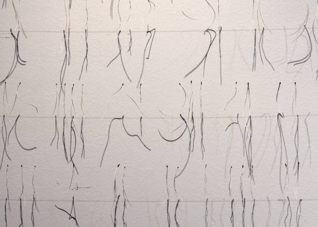 Vor einer weißen Wand sind dünne Fäden gespannt. Darauf hängen Nadeln von einem Baum. Durch das Licht entsteht ein Schattenspiel auf der Wand.