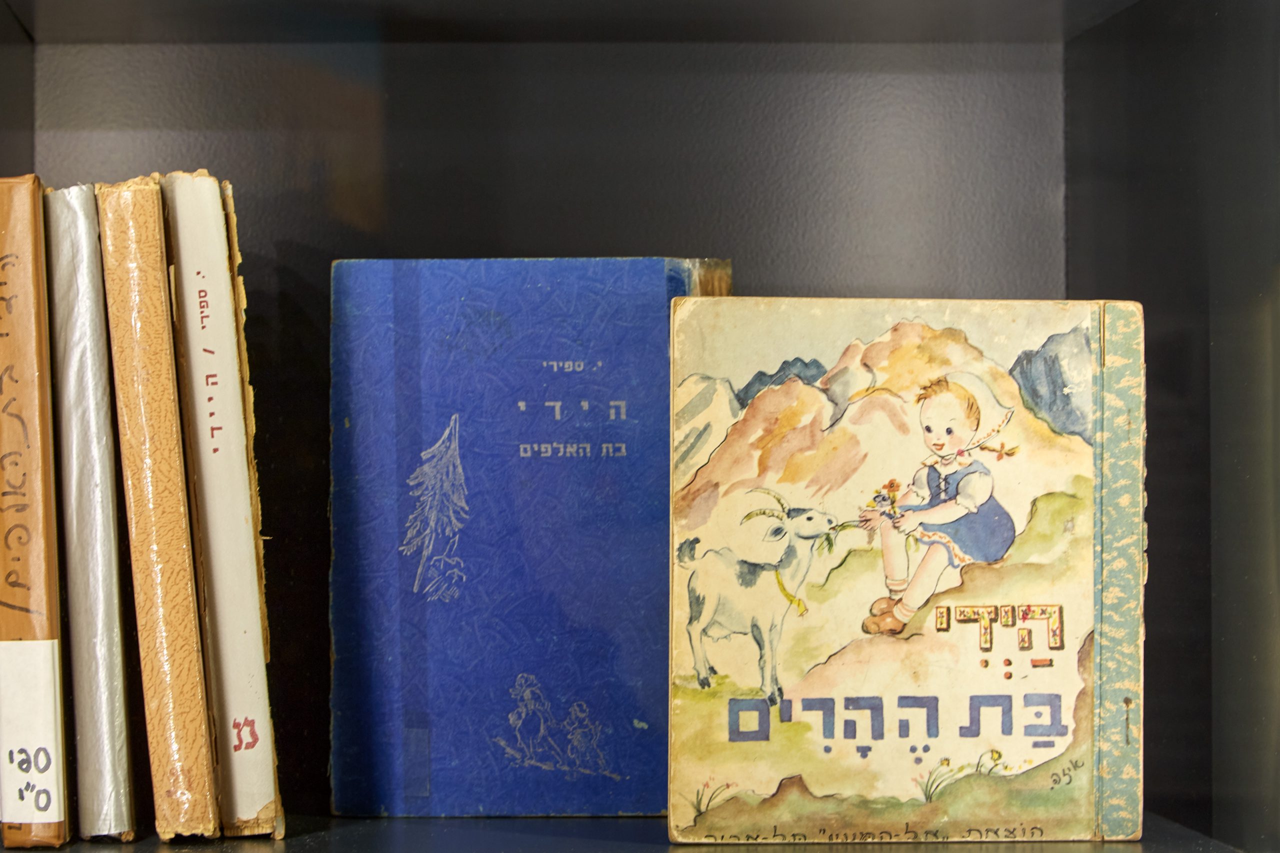 Bücherregal mit mehreren bunten hebräischen "Heidi"-Ausgaben