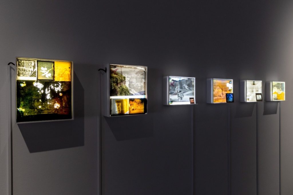Zu sehen sind sechs kleine Boxen, die an der Wand befestigt sind. Die Boxen leuchten hell und zeigen verschiedene Fotos z.B. von Tieren oder Landschaften.