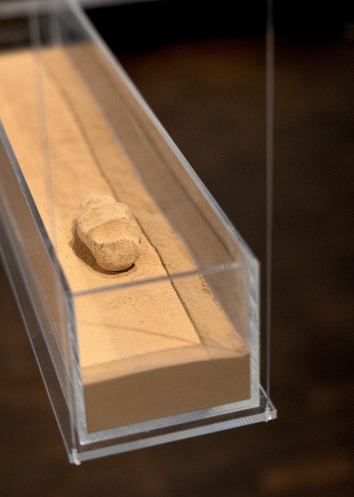 Das Foto zeigt die Nahaufnahme einer schmalen Vitrine mit Sand darin. Auf dem Stand liegt eine handgroße feste Konsistenz.