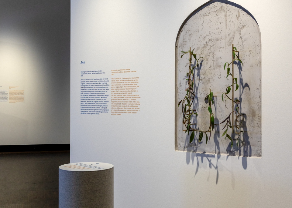 Auf dem Foto ist ein Ausschnitt der Ausstellung zu sehen. Rechts ist eine eingeschobene Wand zu sehen. Eine Pflanze ist auf Metallstäben in einer U-Form befestigt. Der Hintergrund des Kunstwerks hebt sich von der weißen Wand ab, es sieht aus wie ein großes Fenster aus Zement. Links vom Kunstwerk ist Text zu sehen.